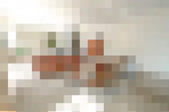 De Vrijheid 3 Nieuwkoop thumbnail 16