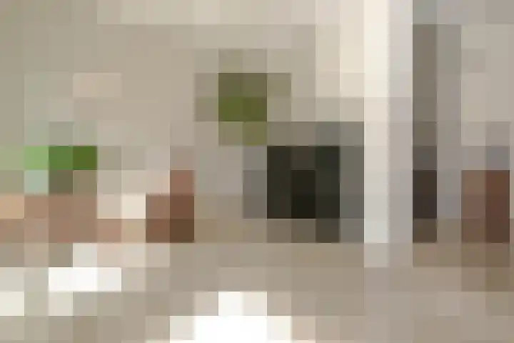 De Vrijheid 3 Nieuwkoop thumbnail 17