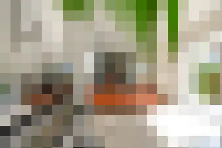De Vrijheid 3 Nieuwkoop thumbnail 18