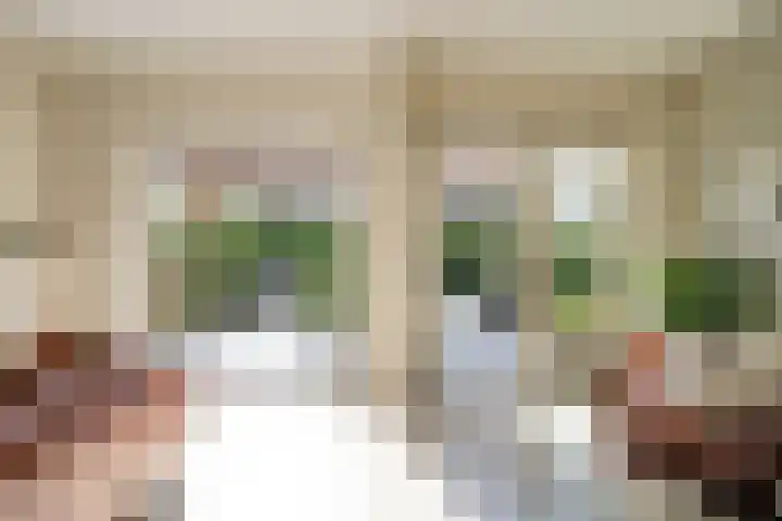 De Vrijheid 3 Nieuwkoop thumbnail 19