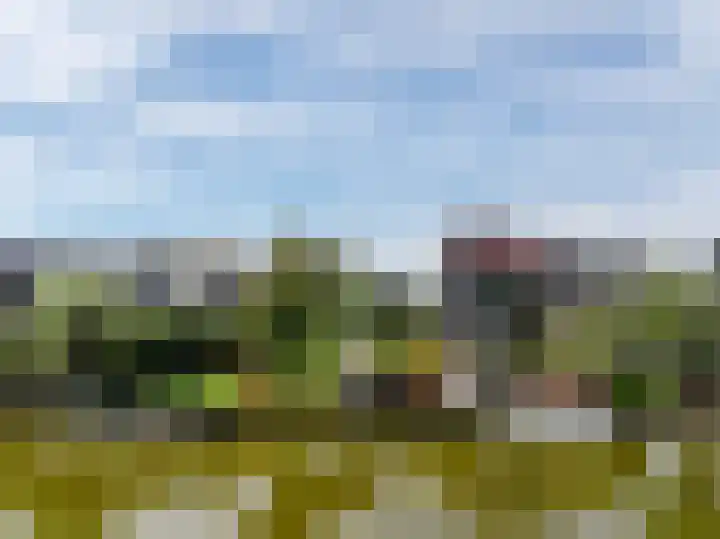 De Vrijheid 3 Nieuwkoop foto 2