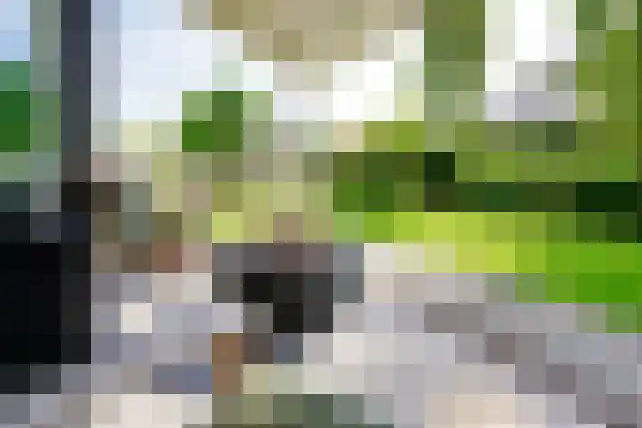 De Vrijheid 3 Nieuwkoop thumbnail 22