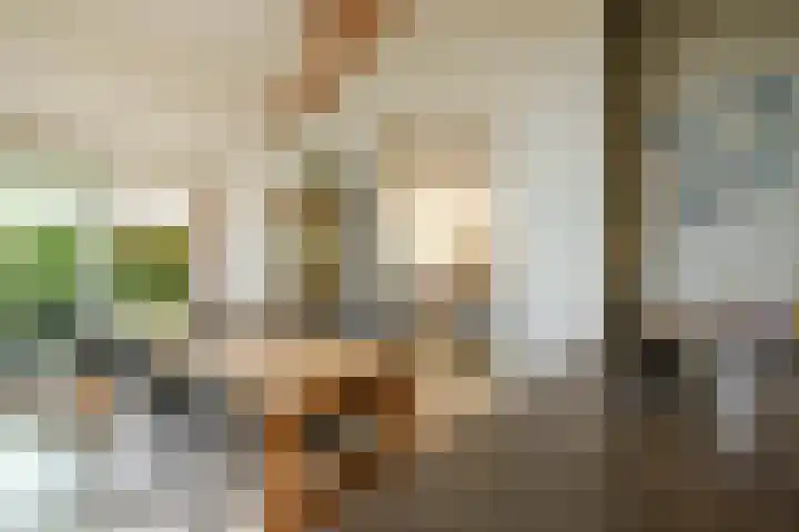 De Vrijheid 3 Nieuwkoop thumbnail 23