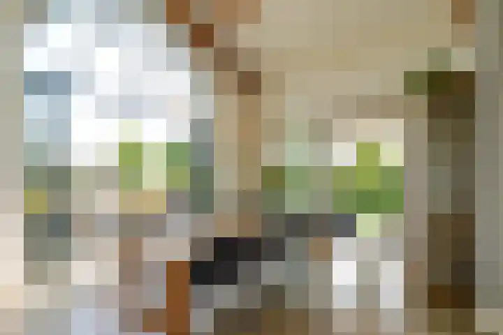 De Vrijheid 3 Nieuwkoop thumbnail 24