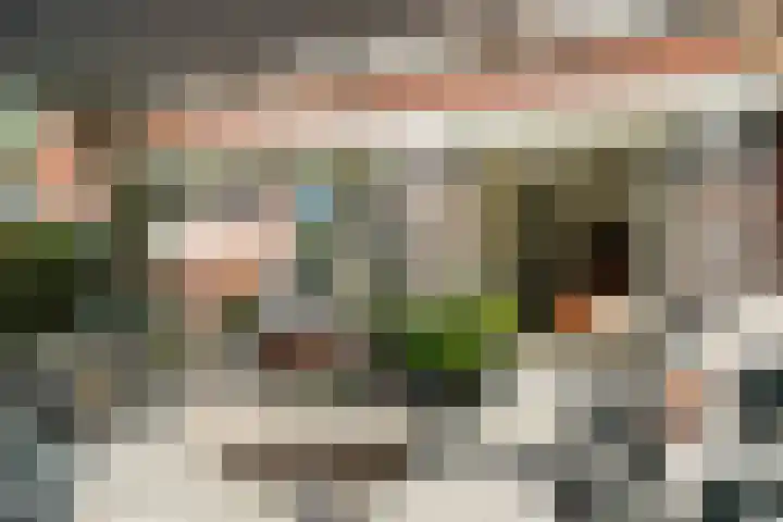 De Vrijheid 3 Nieuwkoop thumbnail 29