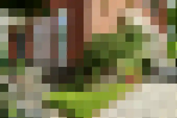 De Vrijheid 3 Nieuwkoop thumbnail 31