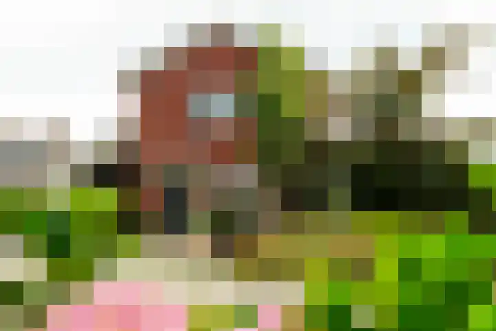 De Vrijheid 3 Nieuwkoop thumbnail 32