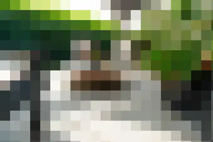 De Vrijheid 3 Nieuwkoop thumbnail 33