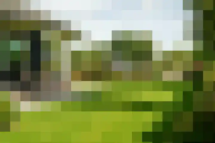 De Vrijheid 3 Nieuwkoop thumbnail 34