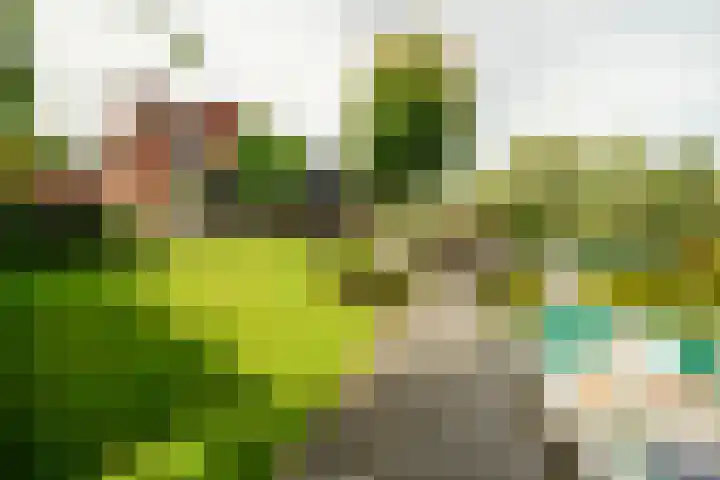 De Vrijheid 3 Nieuwkoop thumbnail 35