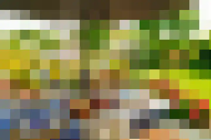 De Vrijheid 3 Nieuwkoop thumbnail 36