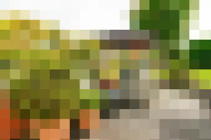 De Vrijheid 3 Nieuwkoop thumbnail 37