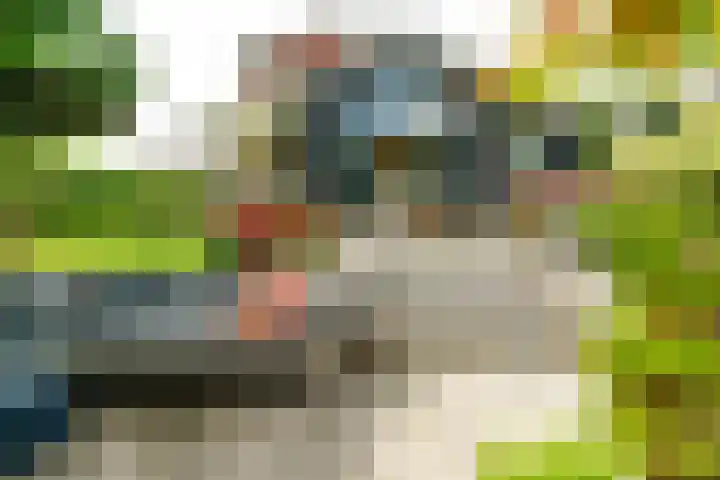 De Vrijheid 3 Nieuwkoop thumbnail 38