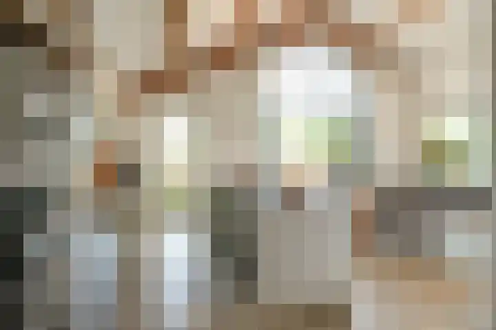 De Vrijheid 3 Nieuwkoop thumbnail 4