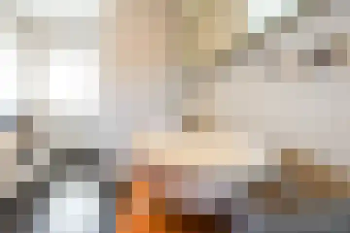 De Vrijheid 3 Nieuwkoop thumbnail 49