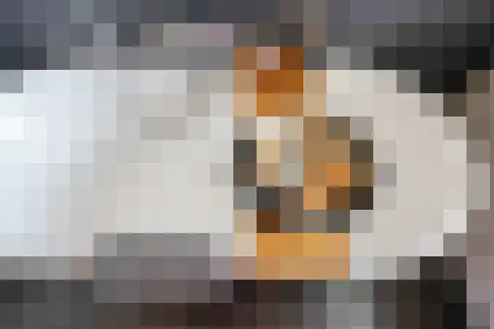 De Vrijheid 3 Nieuwkoop thumbnail 51