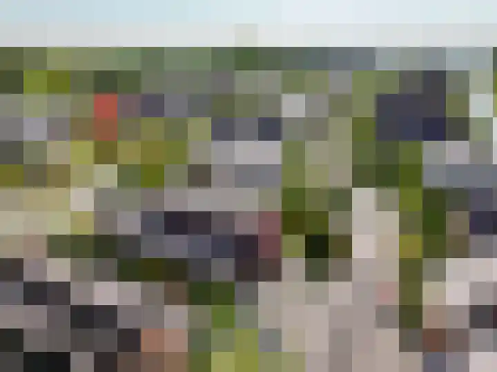 De Vrijheid 3 Nieuwkoop thumbnail 6