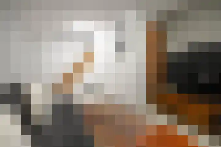 De Vrijheid 3 Nieuwkoop thumbnail 60