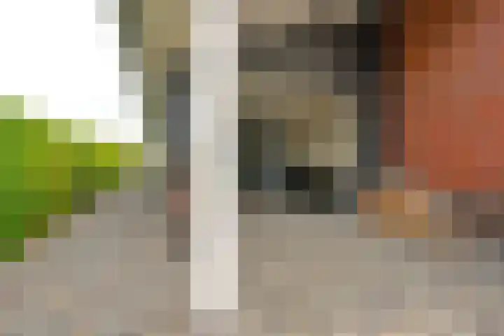 De Vrijheid 3 Nieuwkoop thumbnail 61