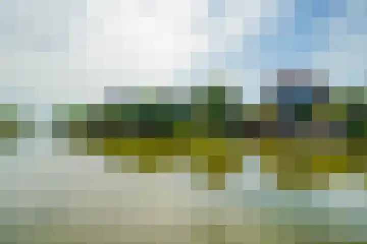 De Vrijheid 3 Nieuwkoop thumbnail 63