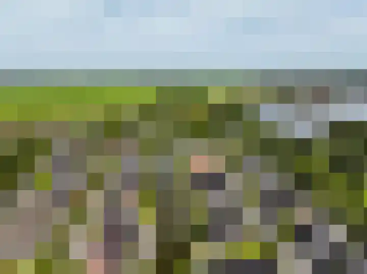 De Vrijheid 3 Nieuwkoop thumbnail 64