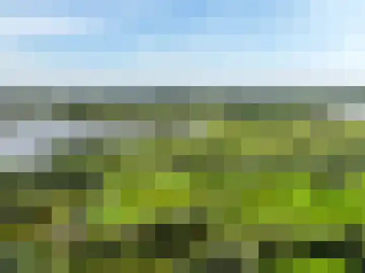 De Vrijheid 3 Nieuwkoop thumbnail 65