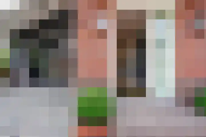 De Vrijheid 3 Nieuwkoop thumbnail 8