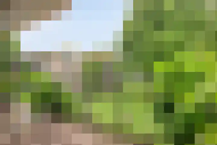 De Vrijheidslaan 11 Oosterbeek thumbnail 10