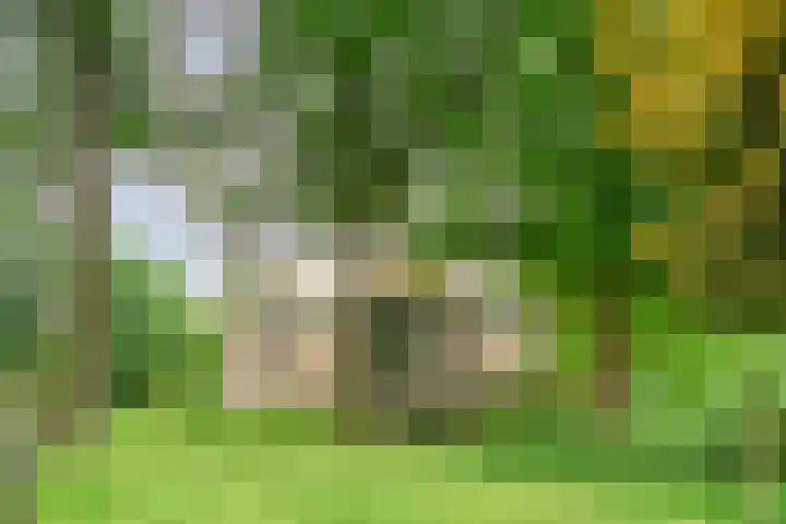 De Vrijheidslaan 11 Oosterbeek thumbnail 23