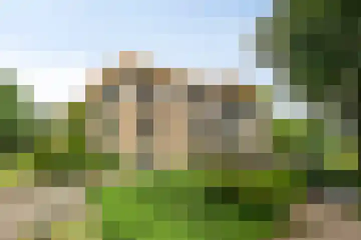 De Vrijheidslaan 11 Oosterbeek thumbnail 24