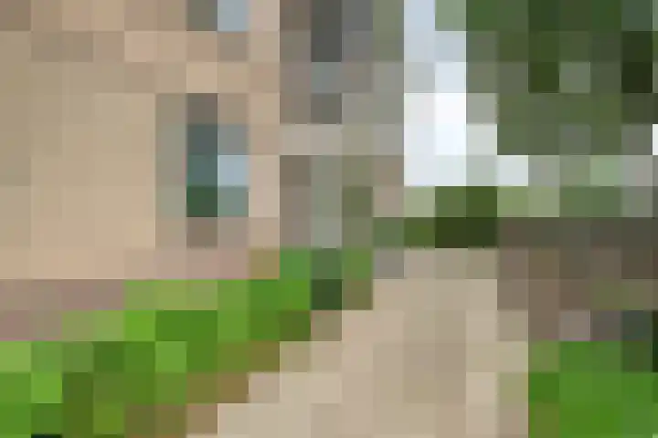 De Vrijheidslaan 11 Oosterbeek thumbnail 25