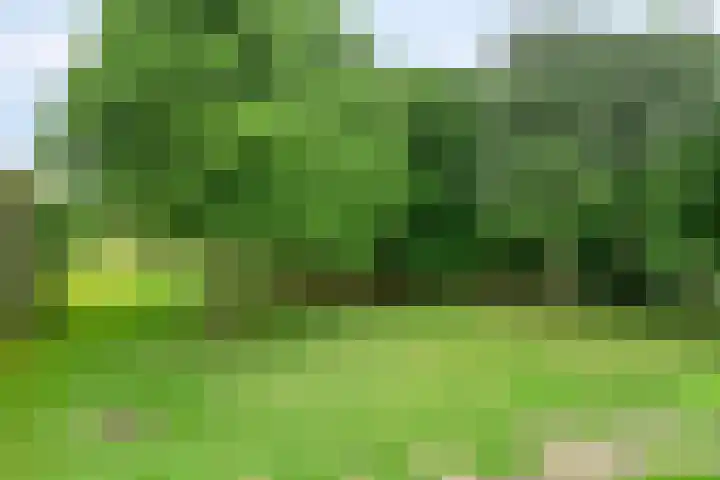 De Vrijheidslaan 11 Oosterbeek thumbnail 27