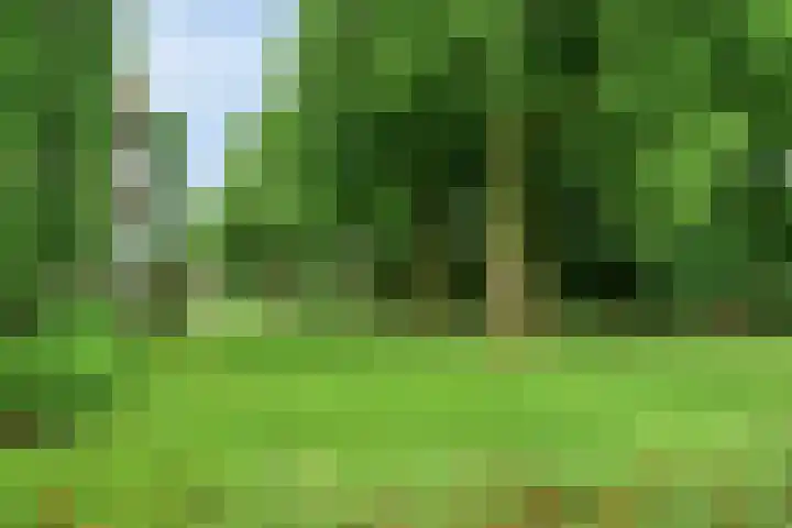 De Vrijheidslaan 11 Oosterbeek thumbnail 29