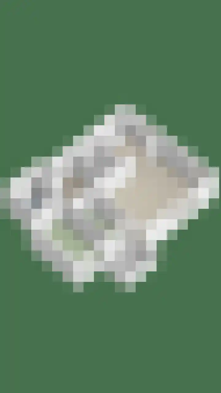 De Vrijheidslaan 11 Oosterbeek thumbnail 34