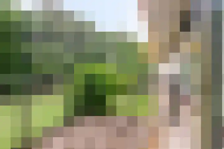 De Vrijheidslaan 11 Oosterbeek thumbnail 9