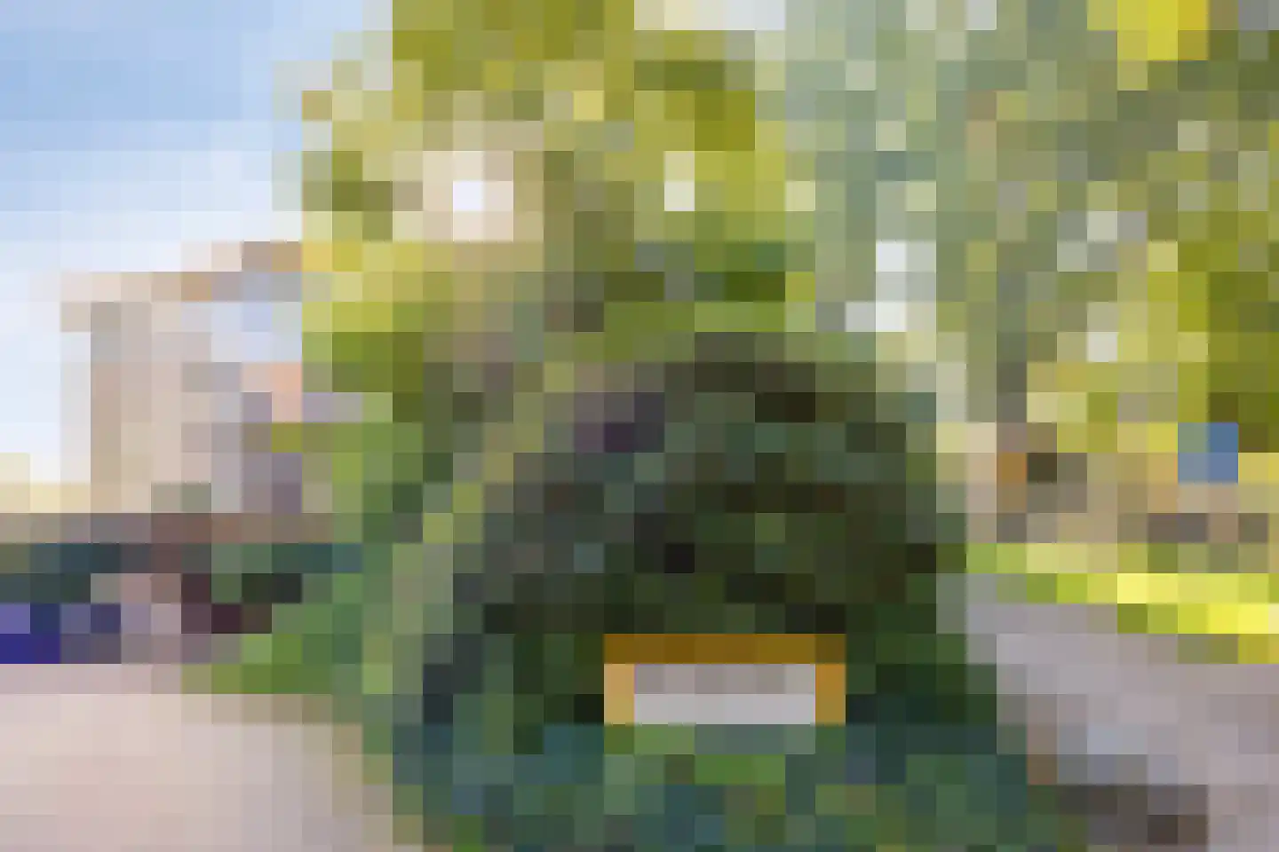 De Vrijheidslaan 27 Oosterbeek thumbnail 31