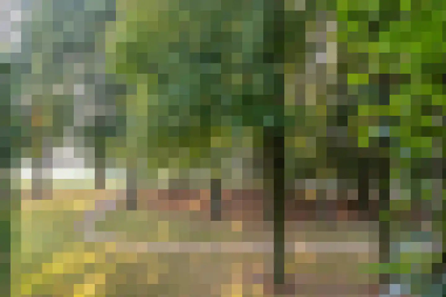 De Vrijheidslaan 27 Oosterbeek thumbnail 32