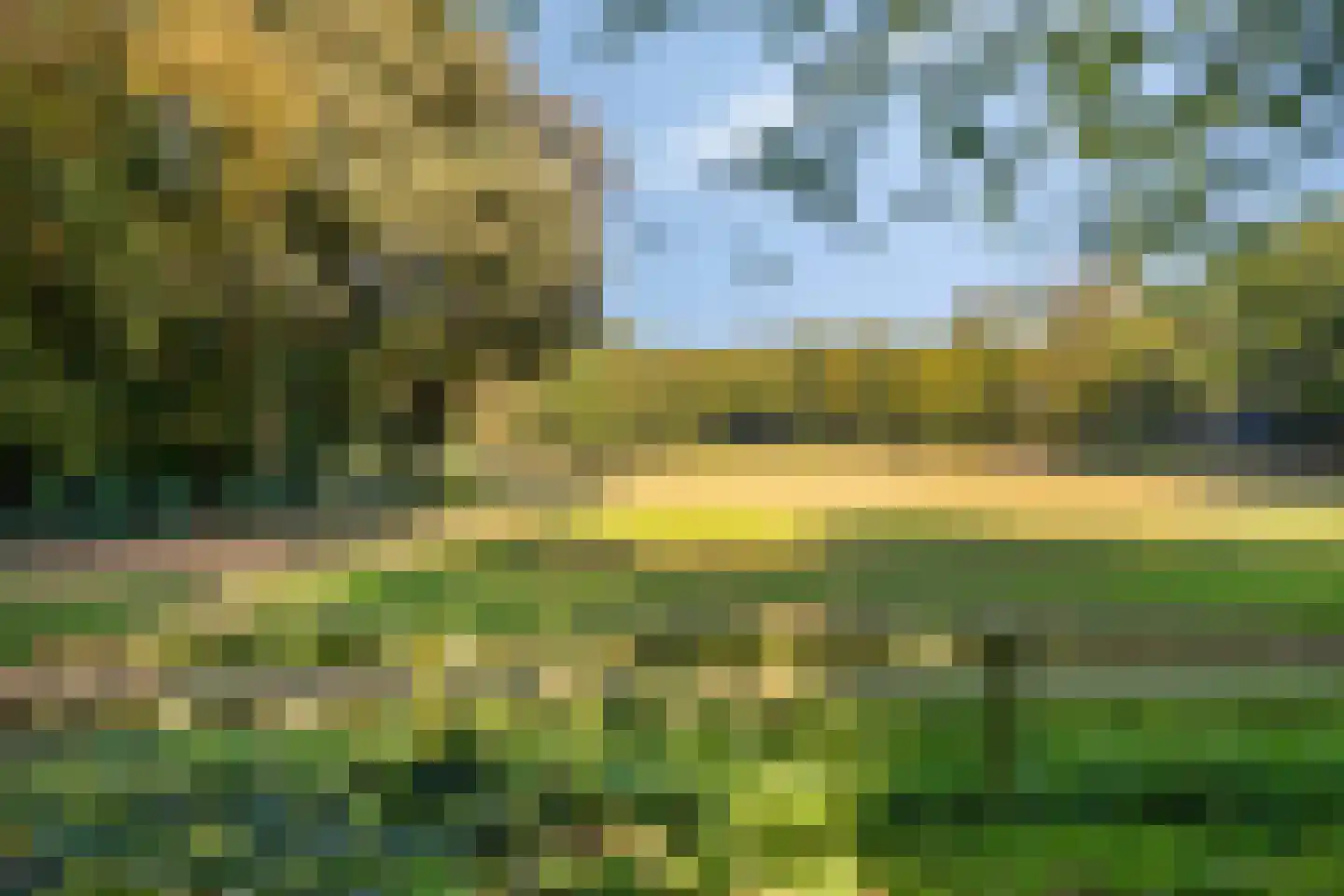 De Vrijheidslaan 27 Oosterbeek thumbnail 33