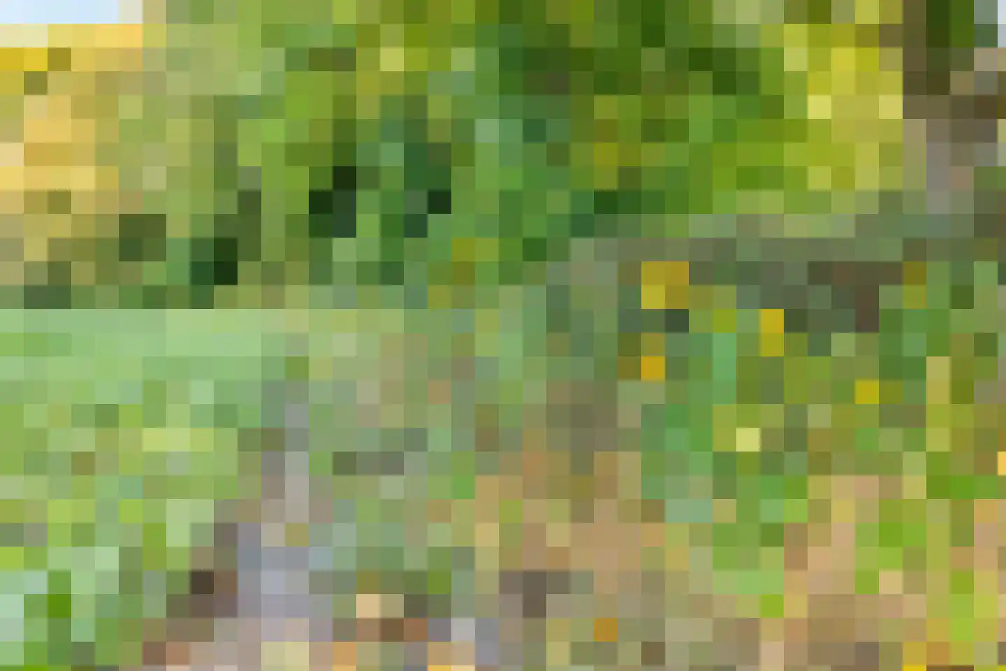 De Vrijheidslaan 27 Oosterbeek thumbnail 34