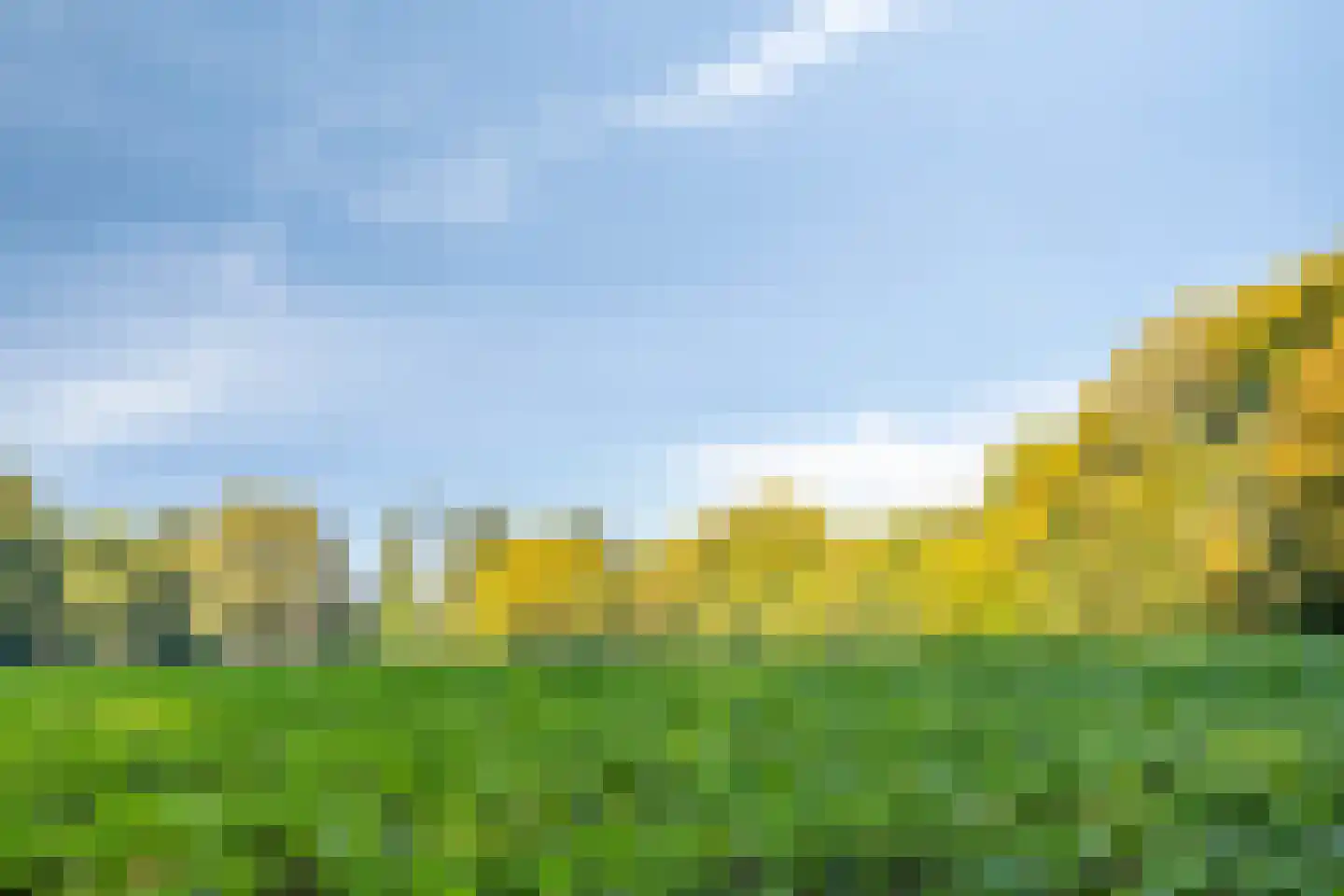 De Vrijheidslaan 27 Oosterbeek thumbnail 35