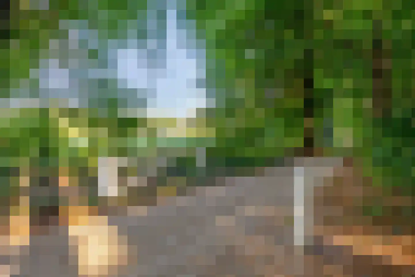 De Vrijheidslaan 27 Oosterbeek thumbnail 37