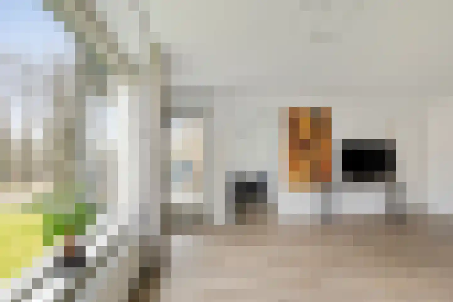 De Vrijheidslaan 29 Oosterbeek thumbnail 15