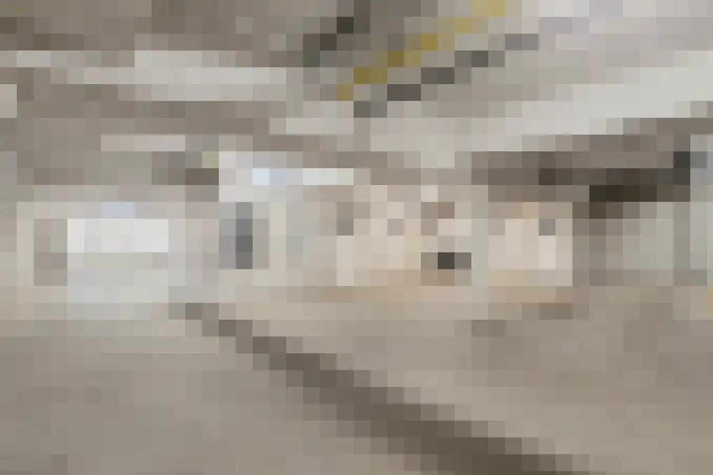 De Vrijheidslaan 29 Oosterbeek thumbnail 33