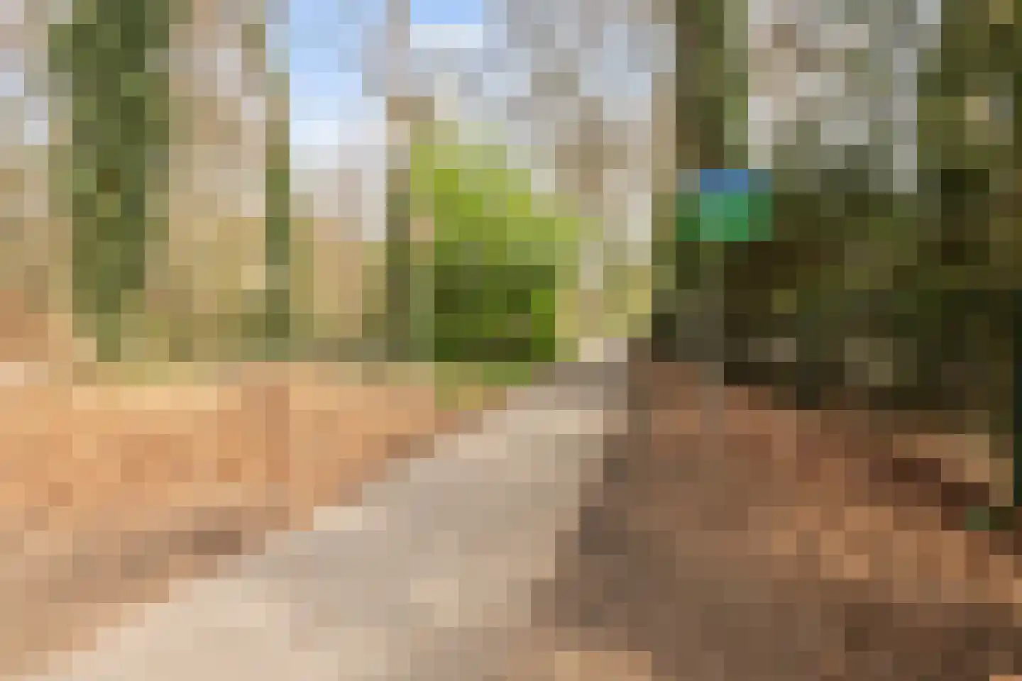 De Vrijheidslaan 29 Oosterbeek thumbnail 38