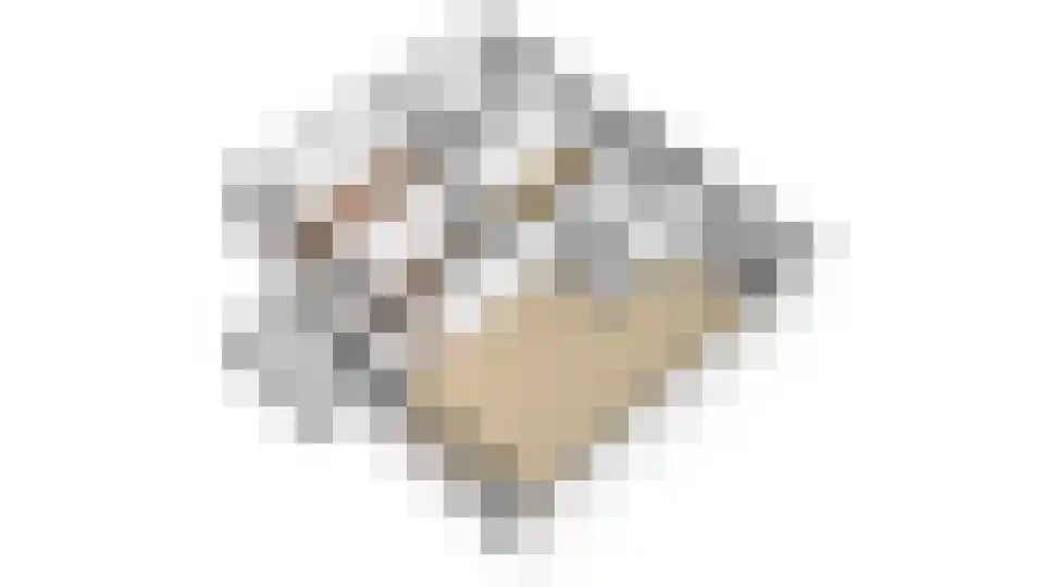 De Vrijheidslaan 29 Oosterbeek thumbnail 43