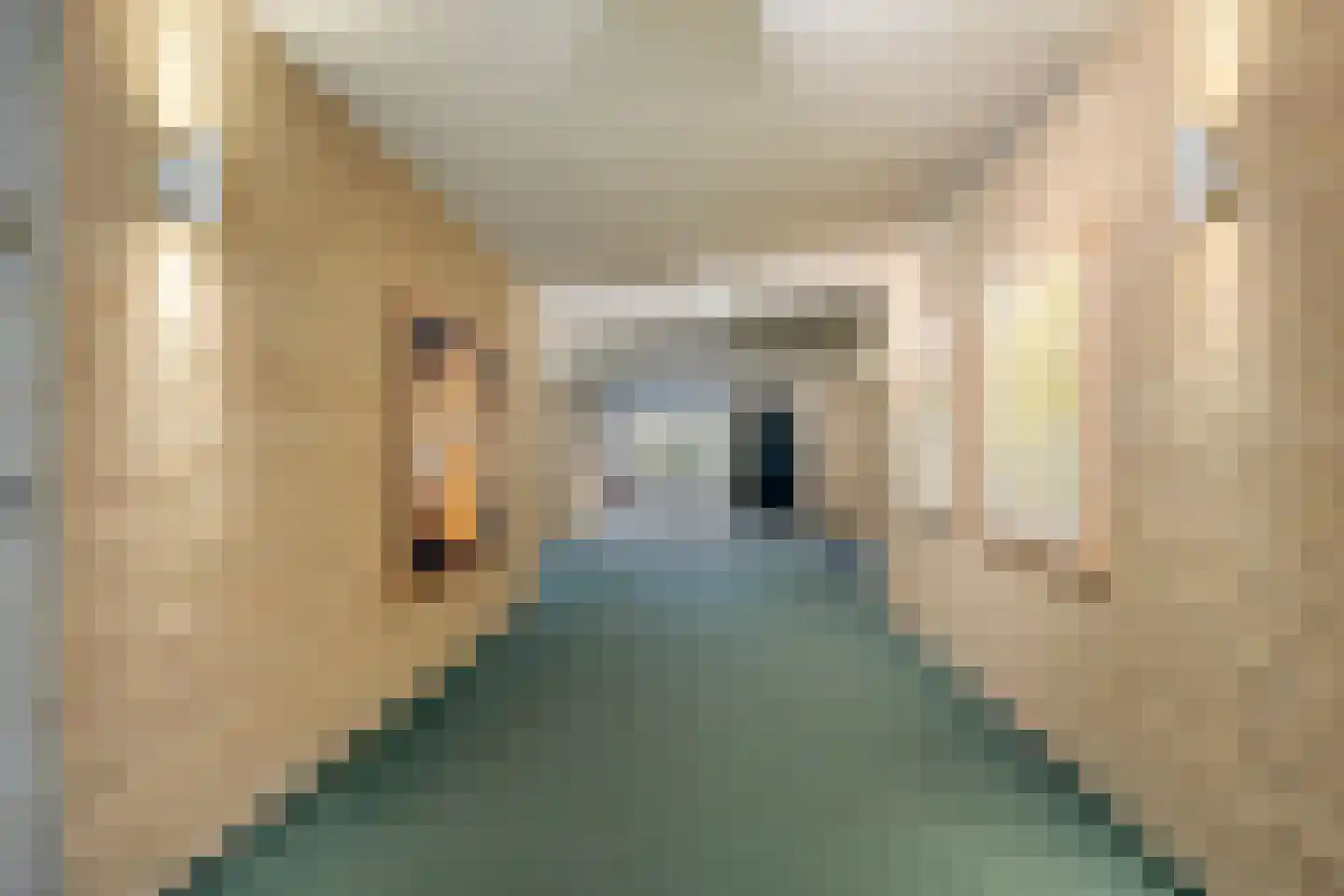 De Vrijheidslaan 32 Oosterbeek thumbnail 10