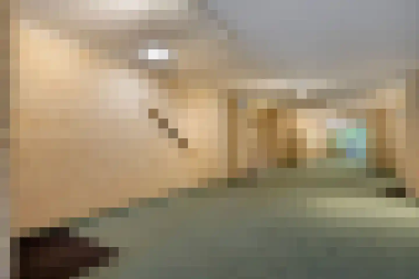 De Vrijheidslaan 32 Oosterbeek thumbnail 11