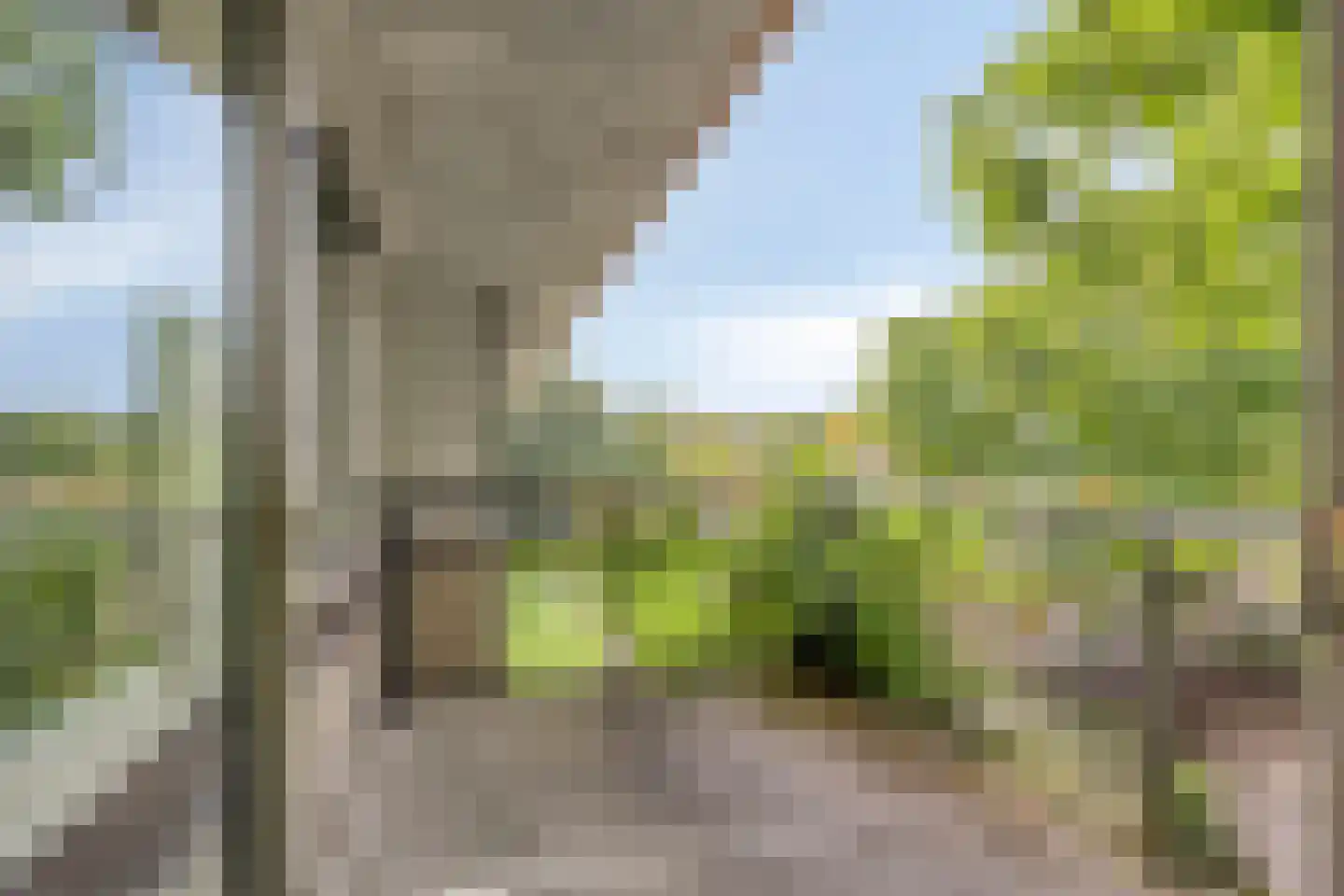 De Vrijheidslaan 32 Oosterbeek thumbnail 30