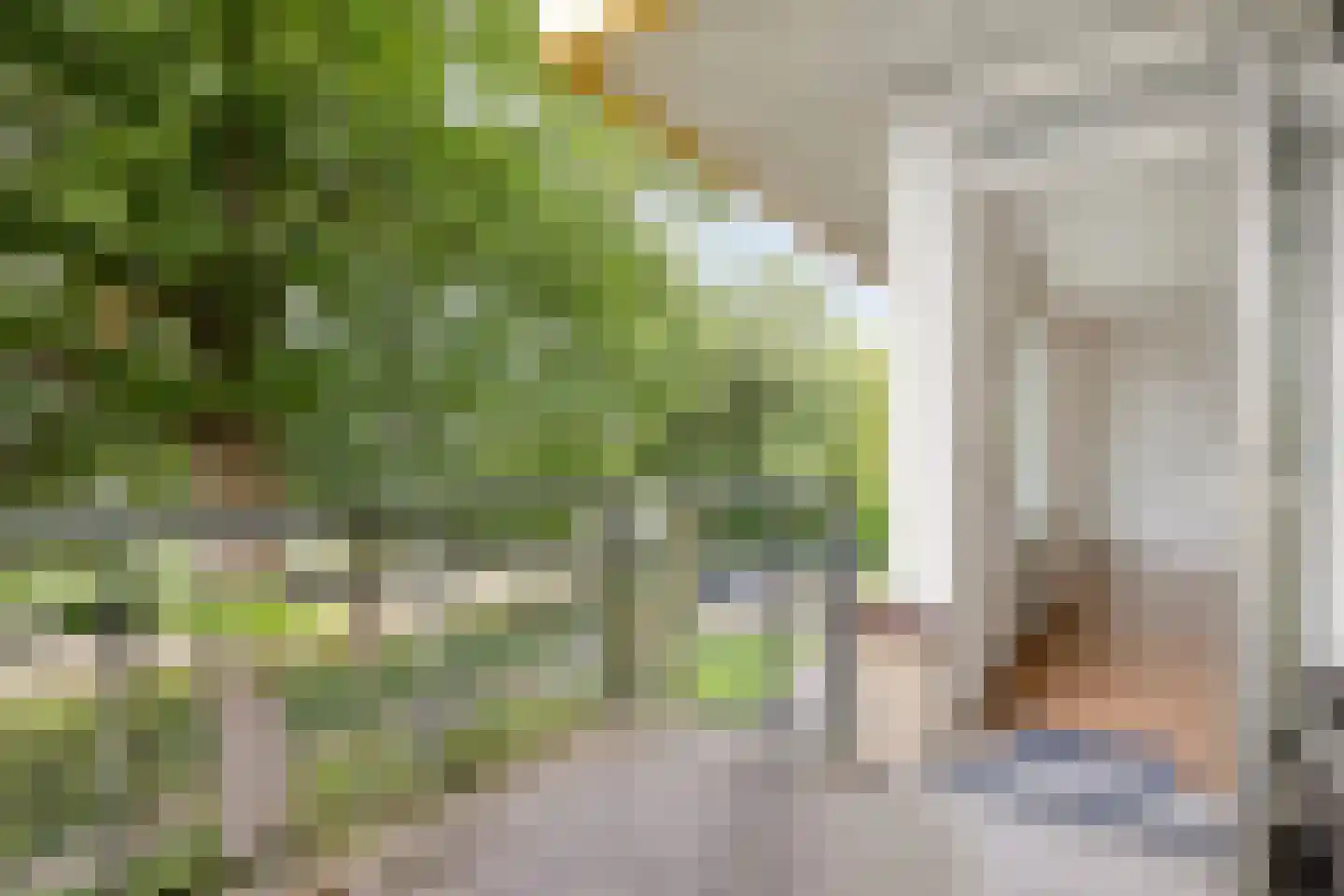 De Vrijheidslaan 32 Oosterbeek thumbnail 31