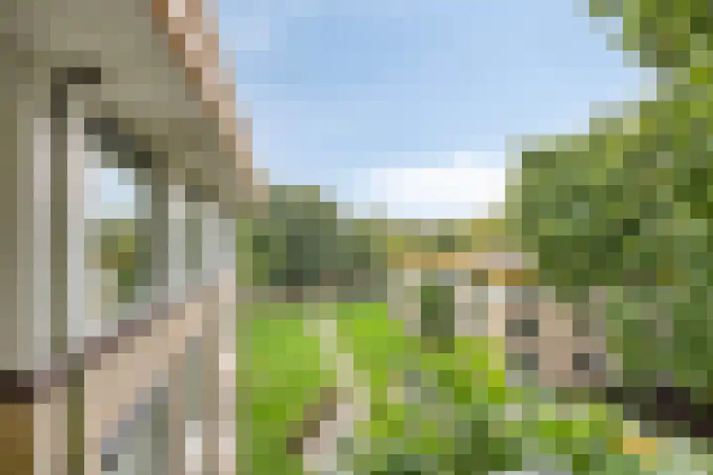 De Vrijheidslaan 32 Oosterbeek thumbnail 32
